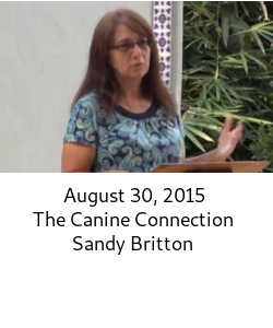 Sandy Britton